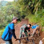 IMG-20251031-WA0040
