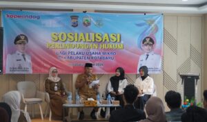 IMG-20260525-WA0013