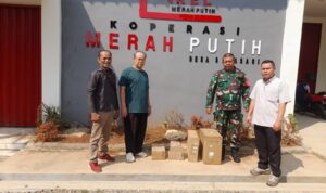 IMG-20260802-WA0301